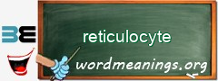 WordMeaning blackboard for reticulocyte